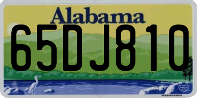 AL license plate 65DJ810