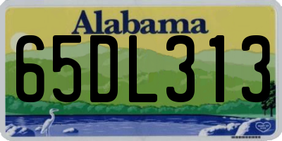 AL license plate 65DL313