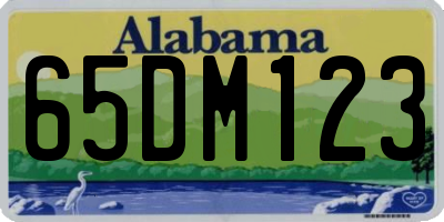 AL license plate 65DM123