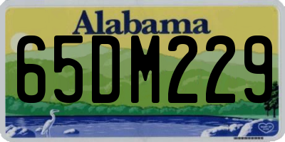 AL license plate 65DM229
