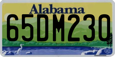AL license plate 65DM230