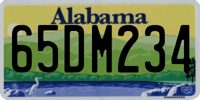 AL license plate 65DM234