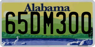 AL license plate 65DM300