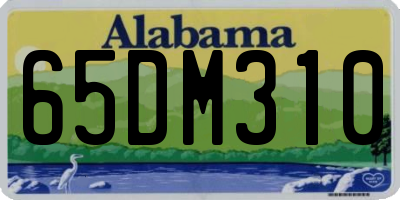 AL license plate 65DM310