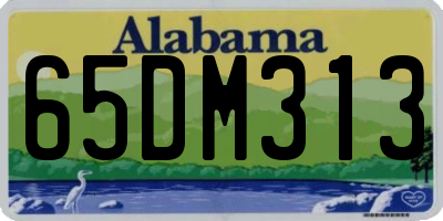 AL license plate 65DM313