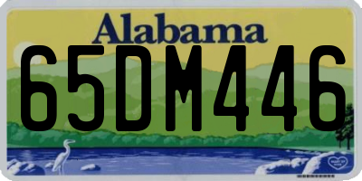 AL license plate 65DM446
