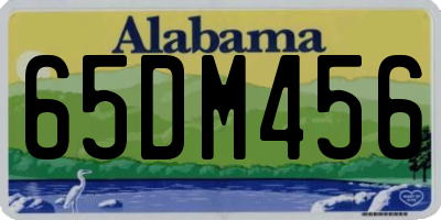 AL license plate 65DM456