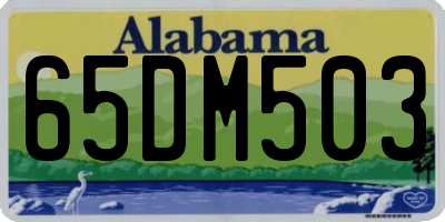 AL license plate 65DM503