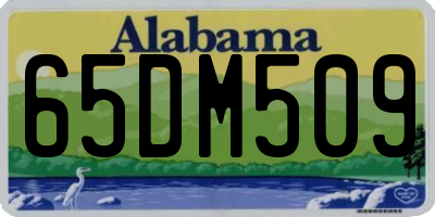 AL license plate 65DM509