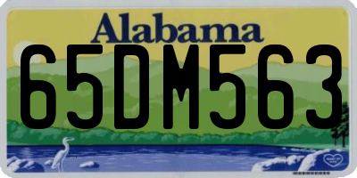 AL license plate 65DM563