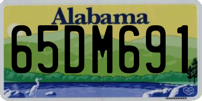 AL license plate 65DM691