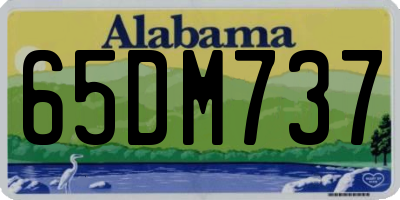 AL license plate 65DM737