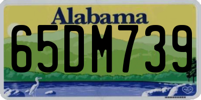 AL license plate 65DM739