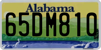 AL license plate 65DM810