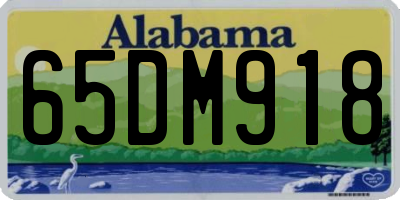 AL license plate 65DM918