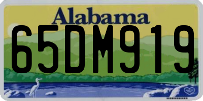 AL license plate 65DM919