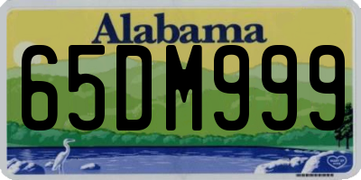 AL license plate 65DM999