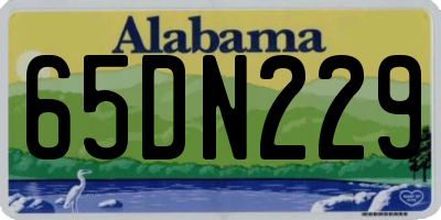 AL license plate 65DN229