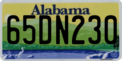AL license plate 65DN230