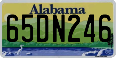 AL license plate 65DN246
