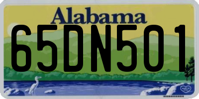AL license plate 65DN501