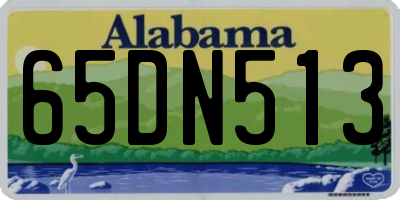 AL license plate 65DN513