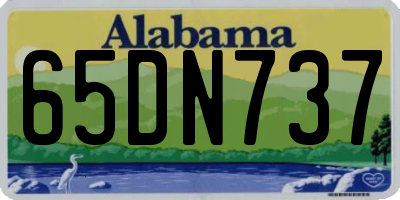 AL license plate 65DN737
