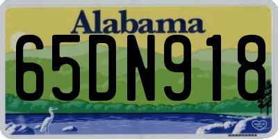 AL license plate 65DN918