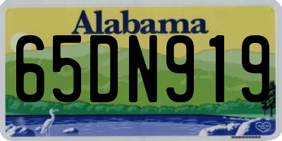 AL license plate 65DN919