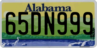 AL license plate 65DN999