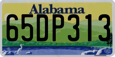 AL license plate 65DP313