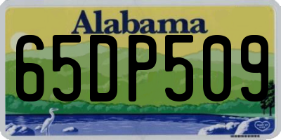 AL license plate 65DP509