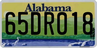 AL license plate 65DR018