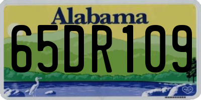 AL license plate 65DR109