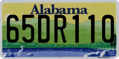 AL license plate 65DR110