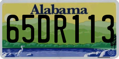 AL license plate 65DR113