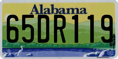 AL license plate 65DR119
