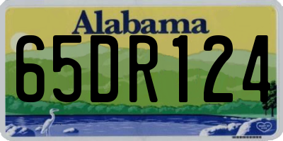 AL license plate 65DR124
