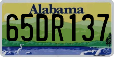 AL license plate 65DR137