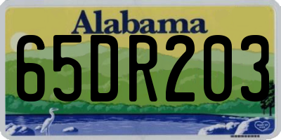 AL license plate 65DR203