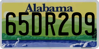 AL license plate 65DR209