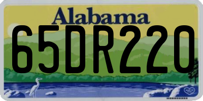 AL license plate 65DR220