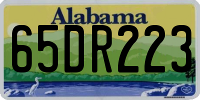 AL license plate 65DR223