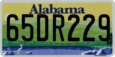 AL license plate 65DR229