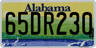 AL license plate 65DR230