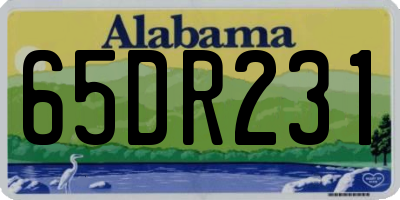 AL license plate 65DR231