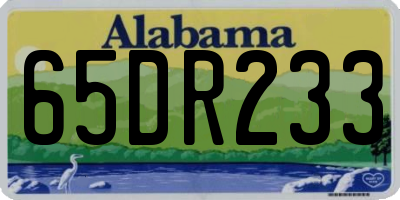 AL license plate 65DR233
