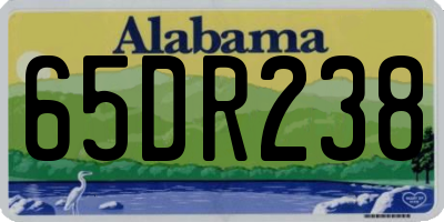 AL license plate 65DR238