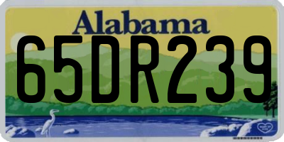 AL license plate 65DR239