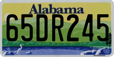 AL license plate 65DR245